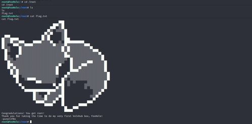 VulnHub靶場實戰指南 Foxhole 1.0.1——從滲透到提權的技術拆解
